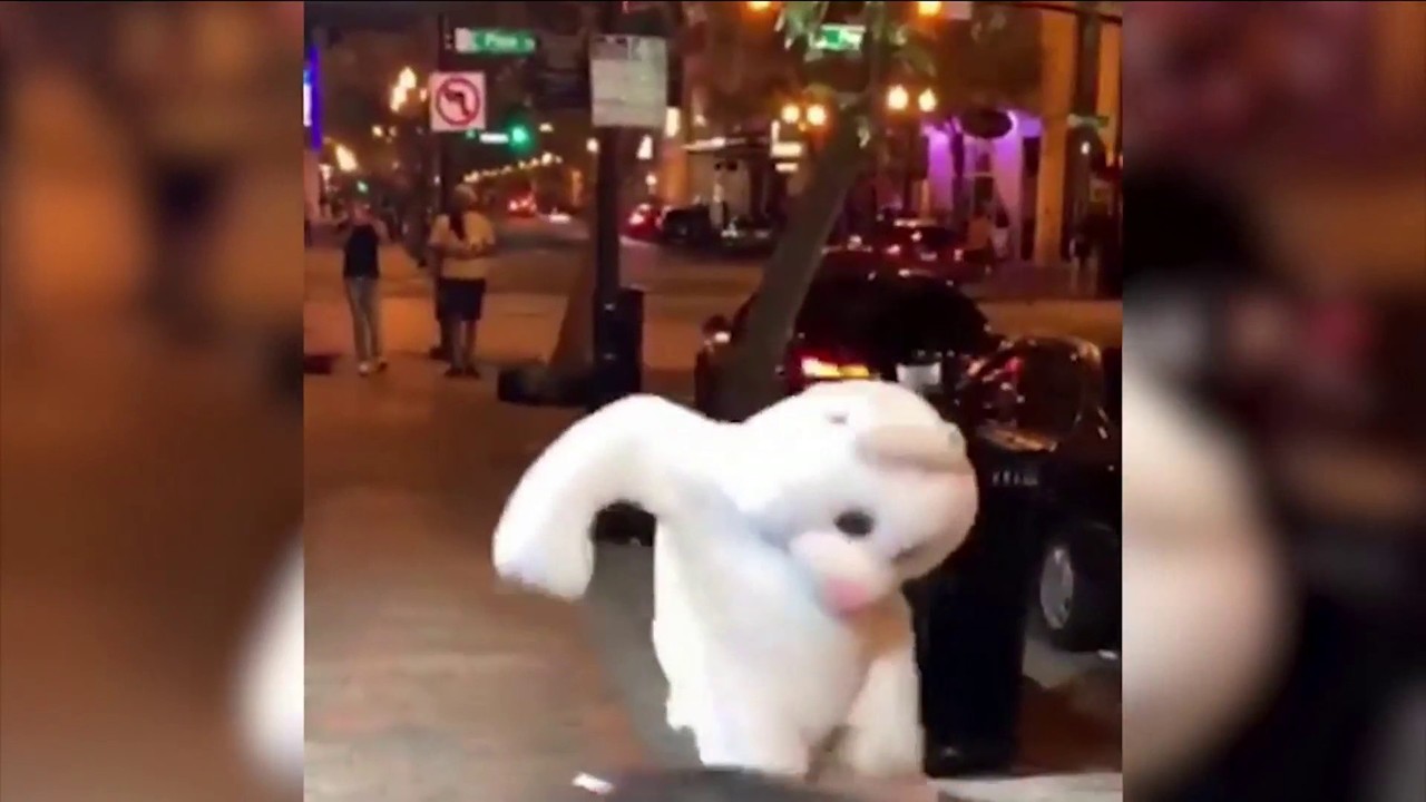 Easter bunny throws down during fight in Orlando